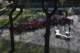 dsc_0045_small.jpg