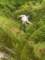 dscn2931_small.jpg