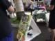 dscf1816_small.jpg