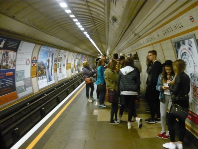 p1040682.jpg